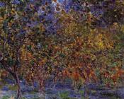 克劳德 莫奈 : Under the Lemon Trees